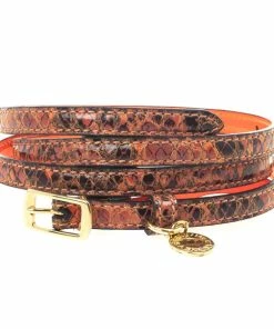 Buy 🥰 Stella McCartney Orange Python Print Skinny Belt 80 CM For 👩 Women 💯