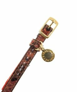 Buy 🥰 Stella McCartney Orange Python Print Skinny Belt 80 CM For 👩 Women 💯 -Stella McCartney Shop luxury women stella mccartney used accessories p20334 004