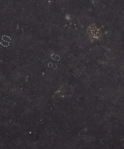 Discount 😍 Stella McCartney Black/White Faux Suede And Canvas Logo Slide Slippers Size 36 For 👩 Women ⌛ -Stella McCartney Shop luxury women stella mccartney used shoes p649633 005